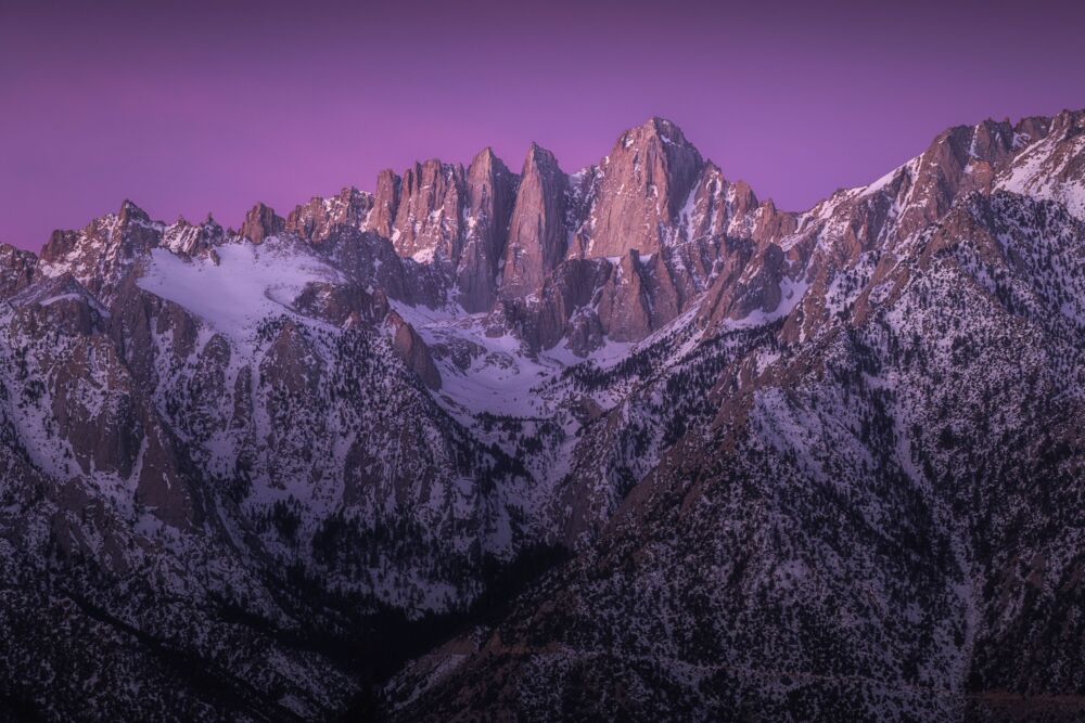 Purple peak
