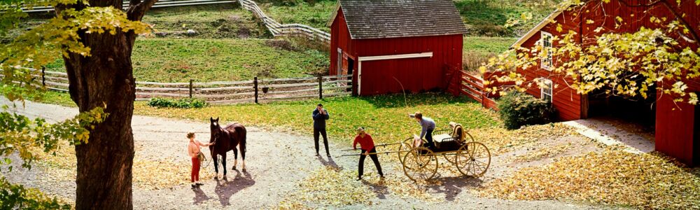 FARMYARD AND HORSE 1967