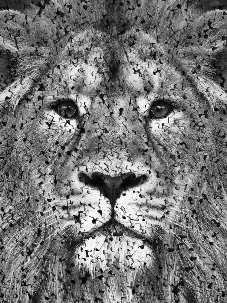 PUZZLE I