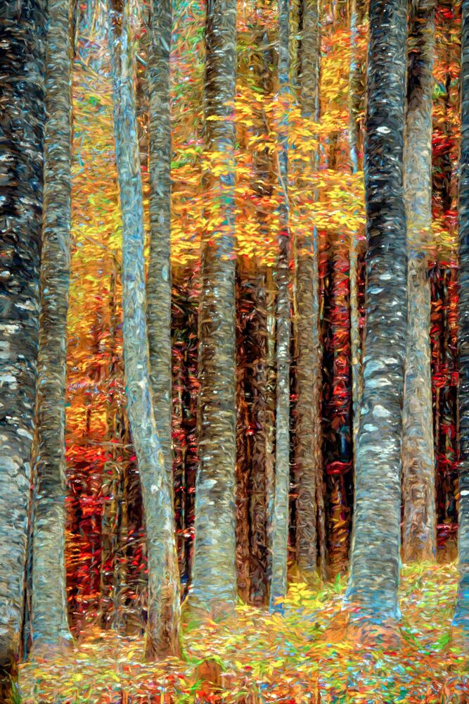 KlimtWald