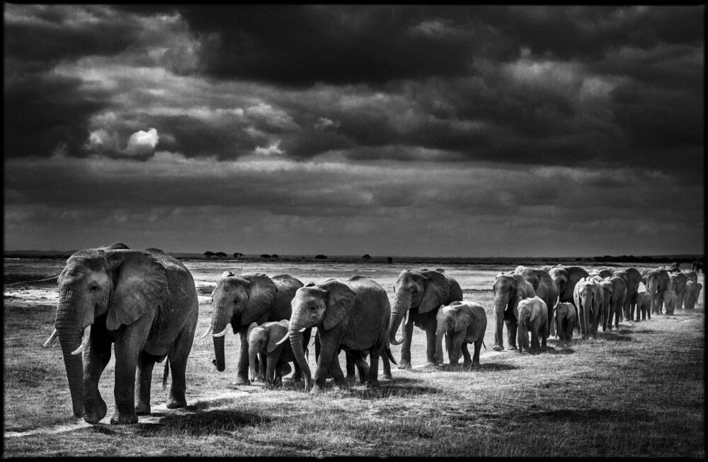 Crossing the Plain I