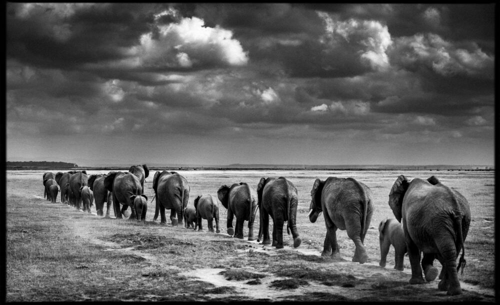 Crossing the Plain II