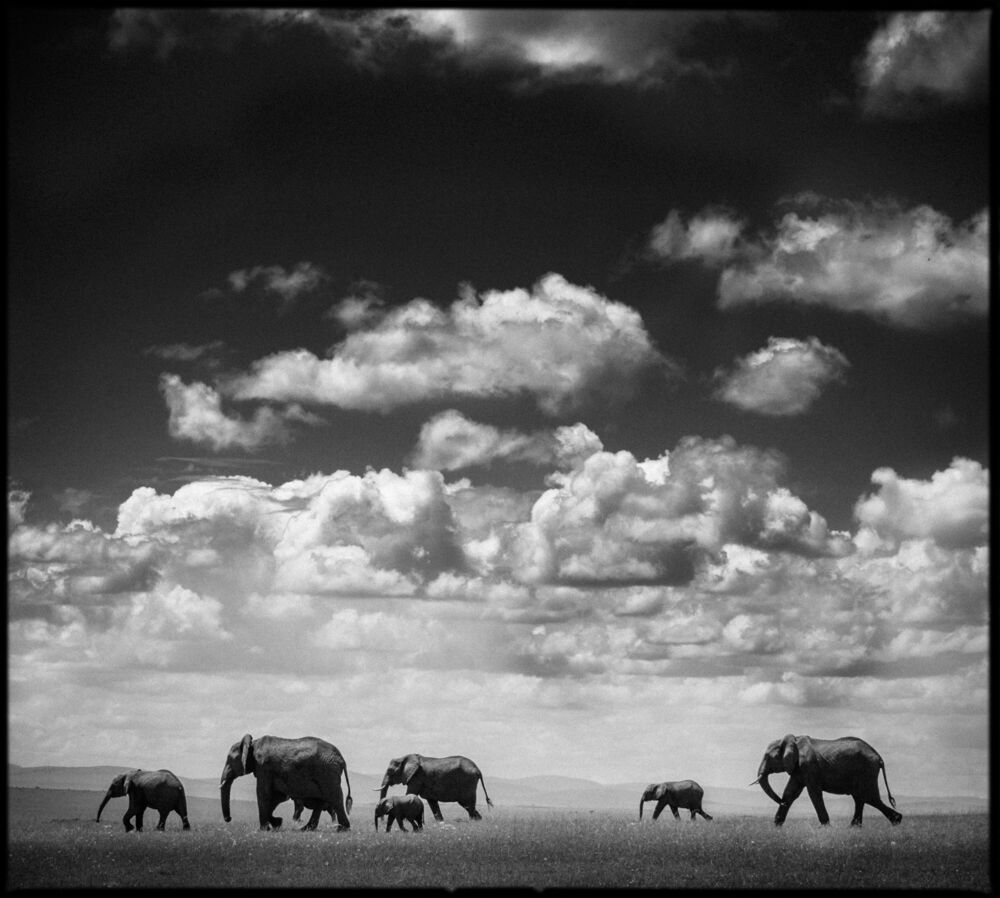 Under the Clouds I