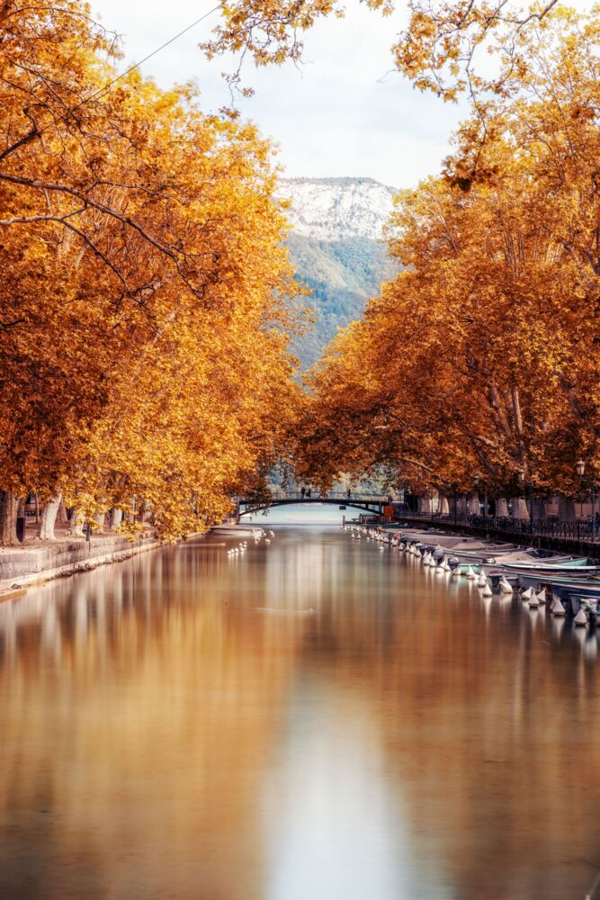 ANNECY-CANAL DU VASSE I