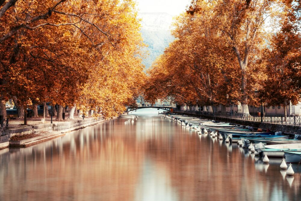 ANNECY-CANAL DU VASSE II