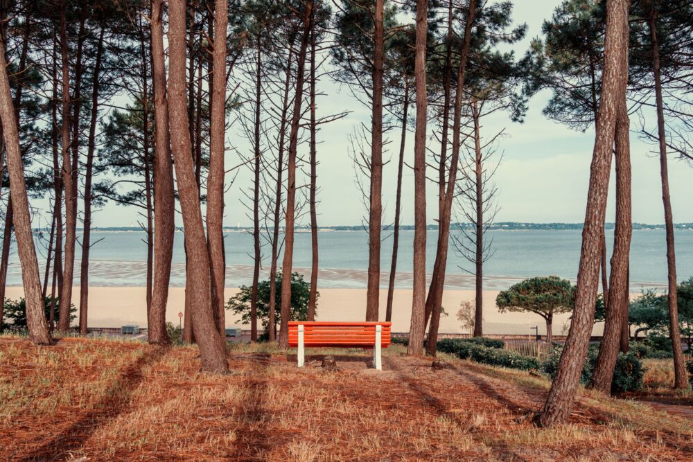 Arcachon cap en vue