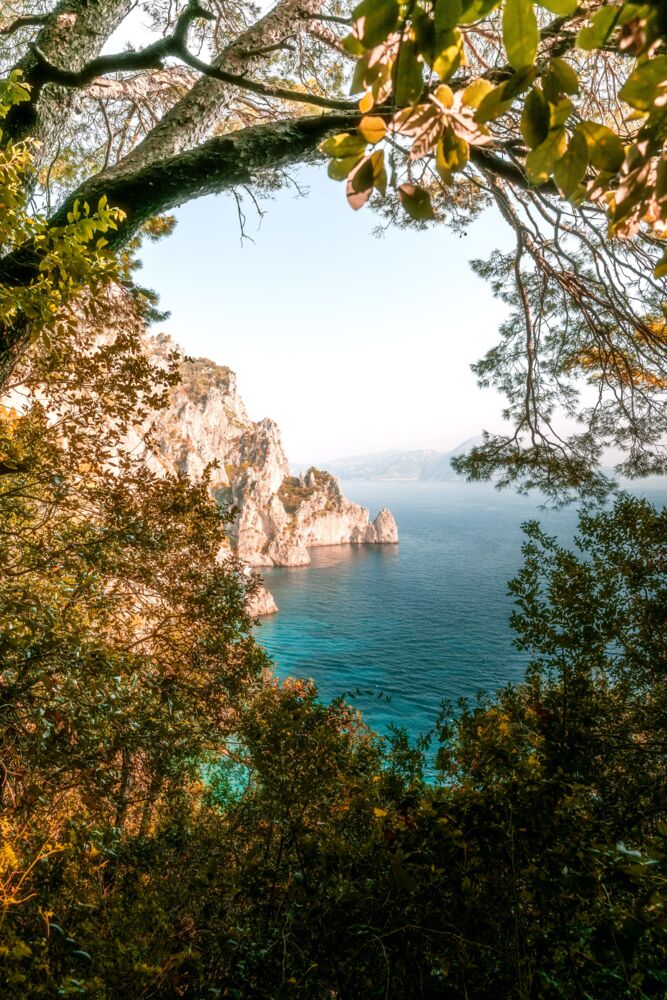 CAPRI-CALA DI MATERMANIA