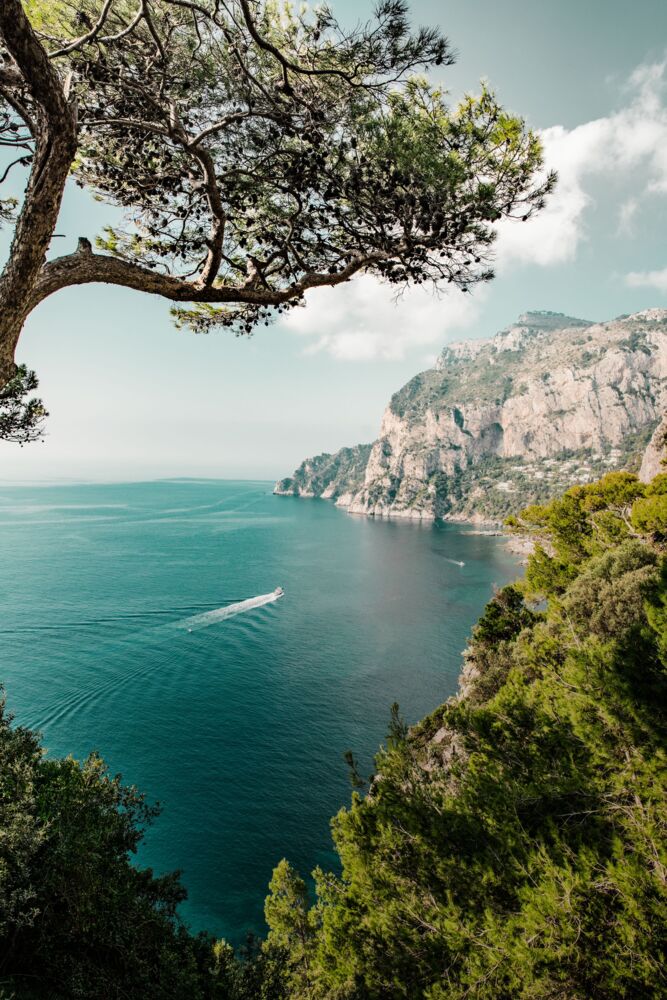 CAPRI-PUNTA DI MULO