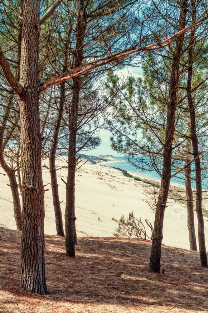 Dune du Pilat plage de la Corniche