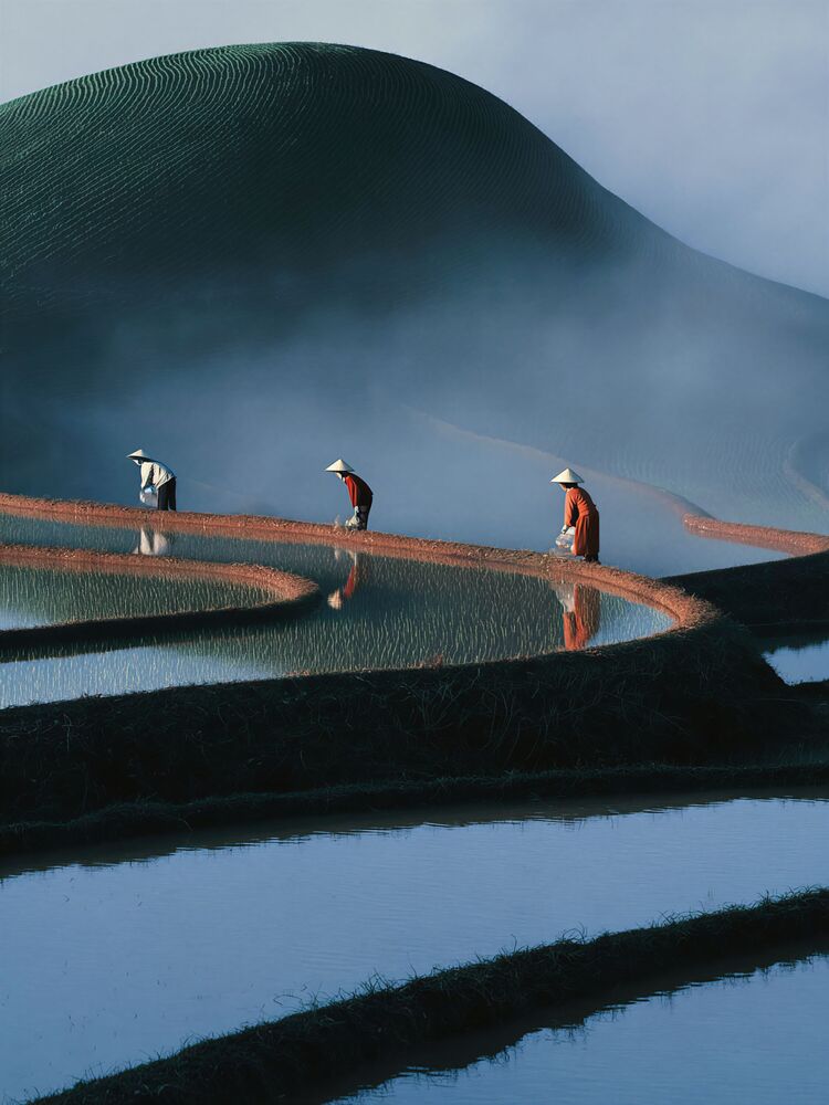 The long way home