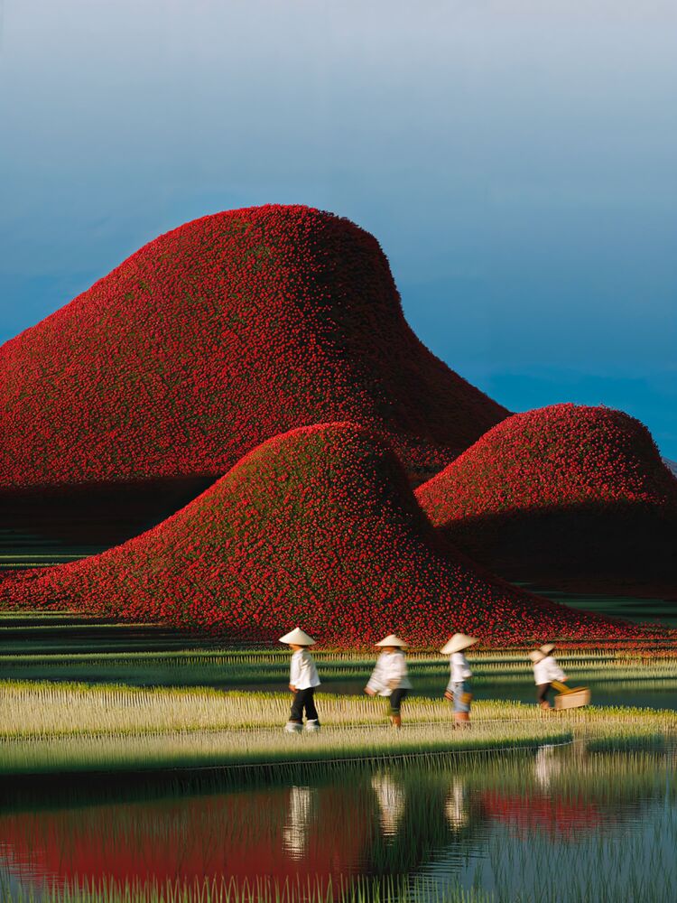 The warm hill