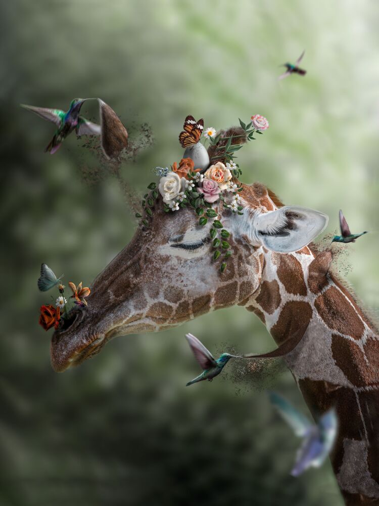 L'Imagination