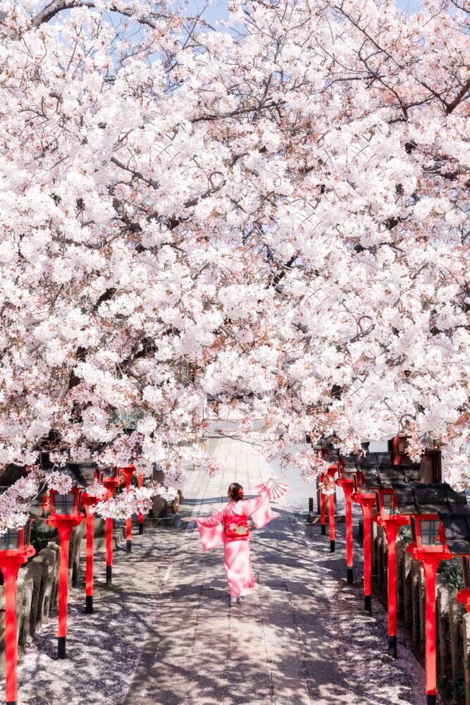 Danse en kimono &agrave; Kyoto
