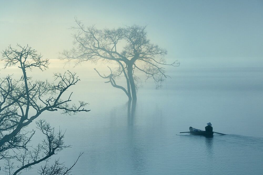 FLOATING ON THE MIST