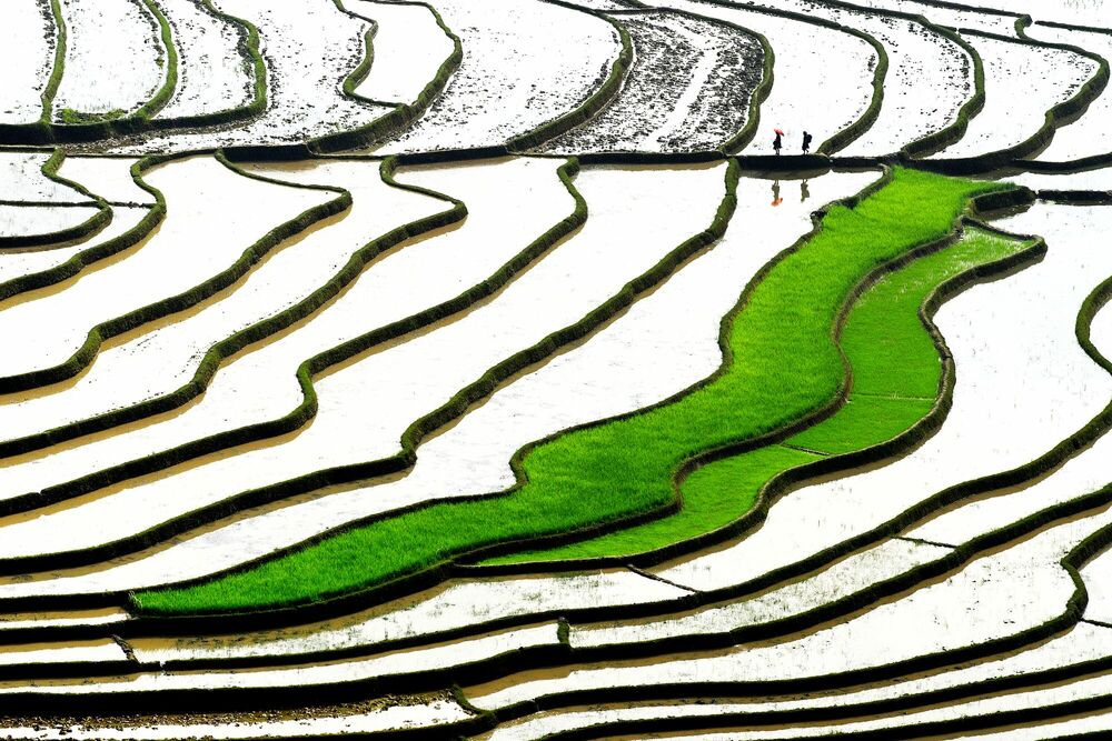 GREEN STEPS