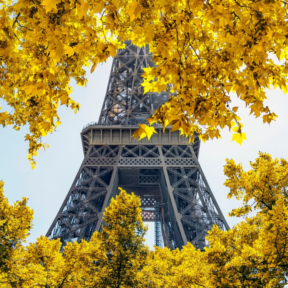 Autumn in Paris