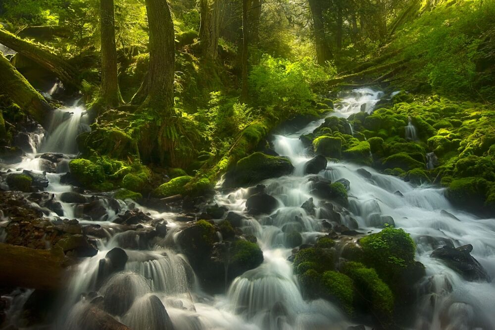 Enchanted Forest Columbia Gorge Oregon