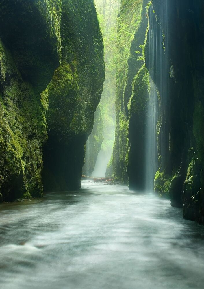 Rainforest Canyon Oneonta Gorge Oregon