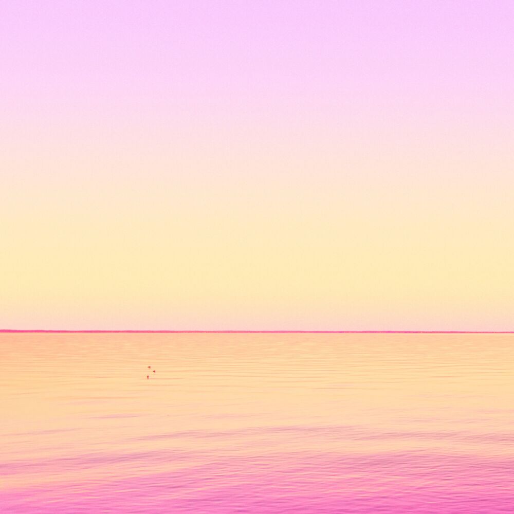 Vanilla Twilight