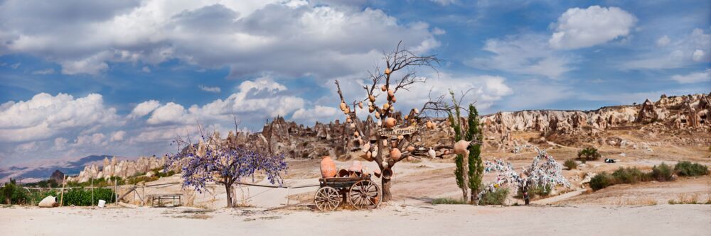 Wishtree