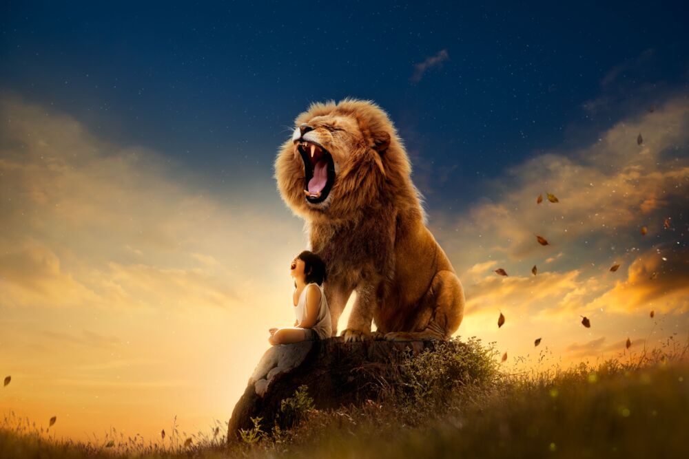 Strength