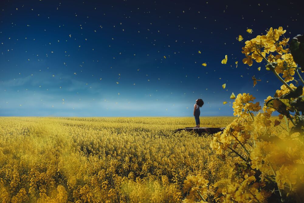 The Longing