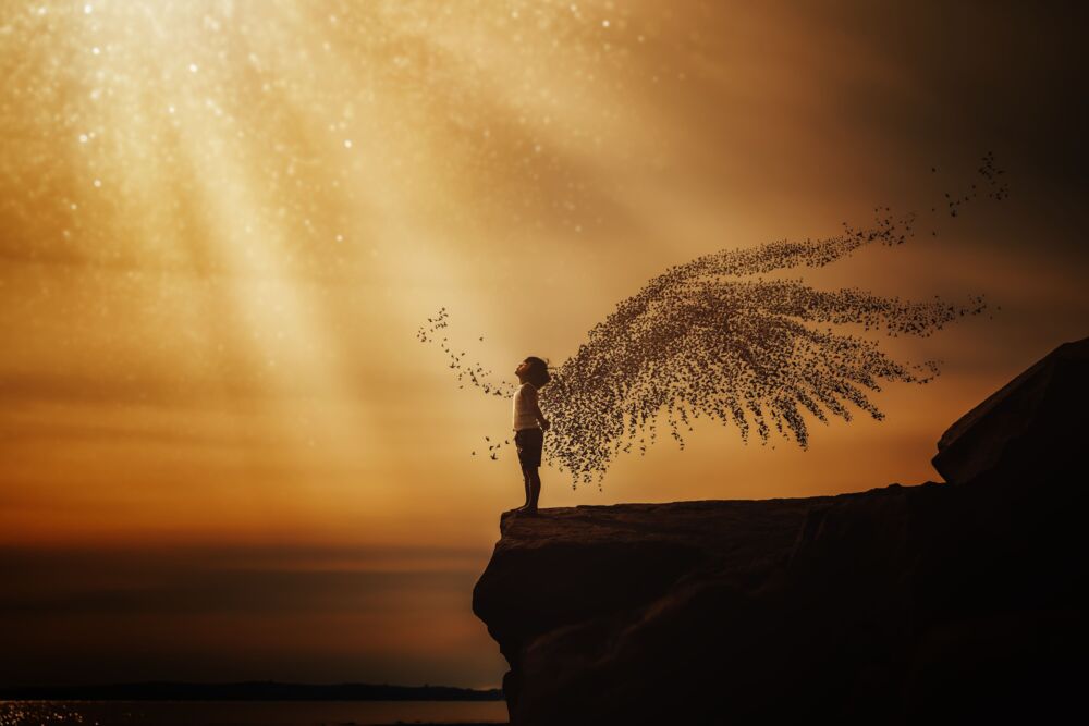 Wings