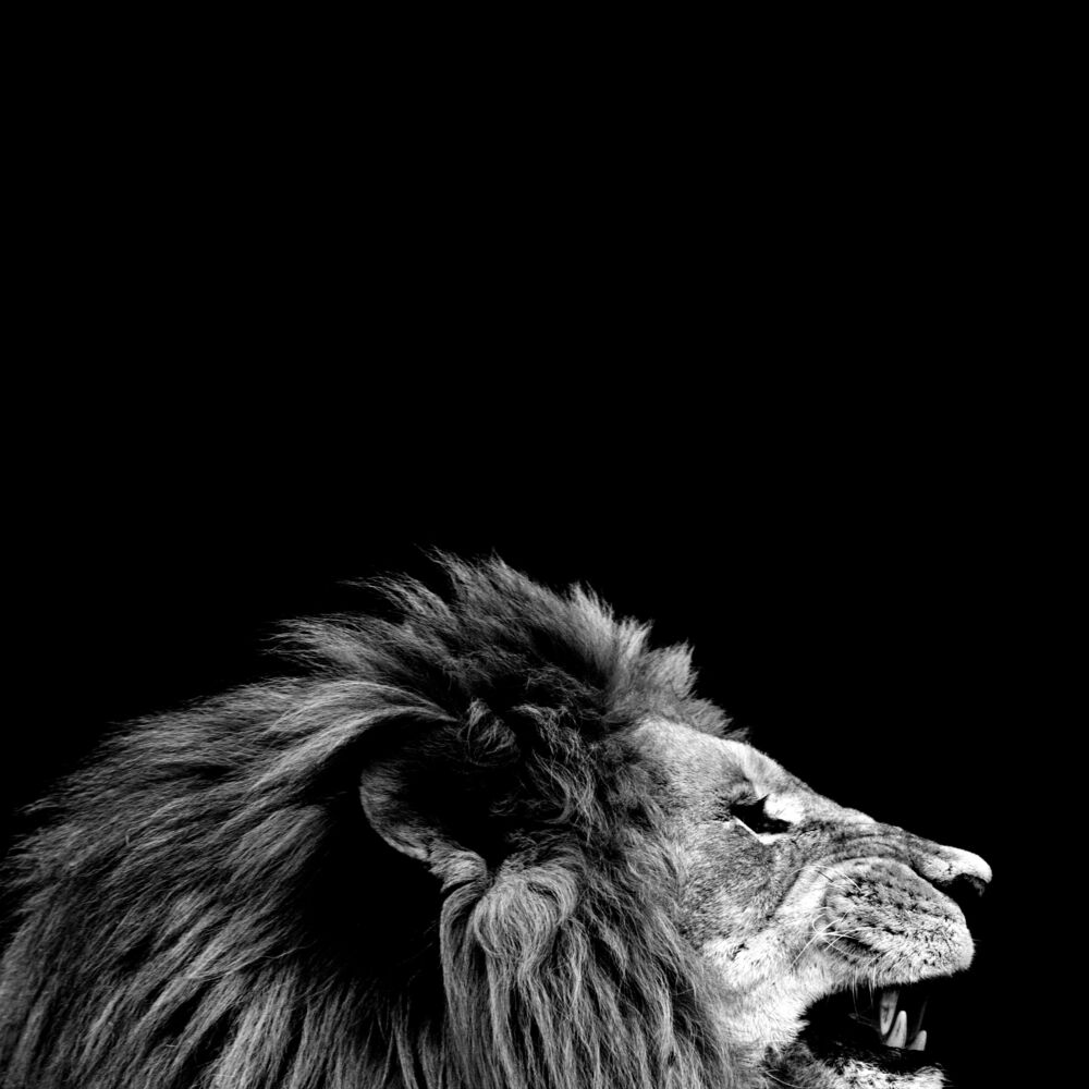 King