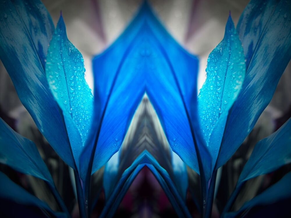 Blue Arch