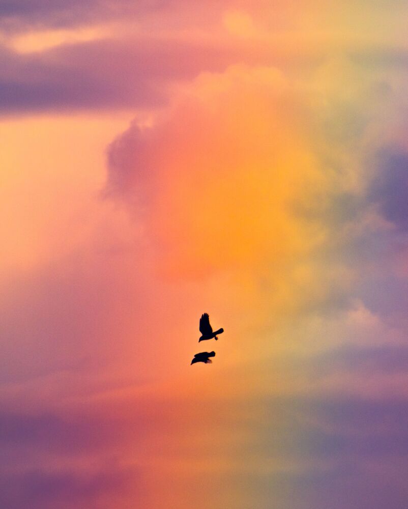After the storm