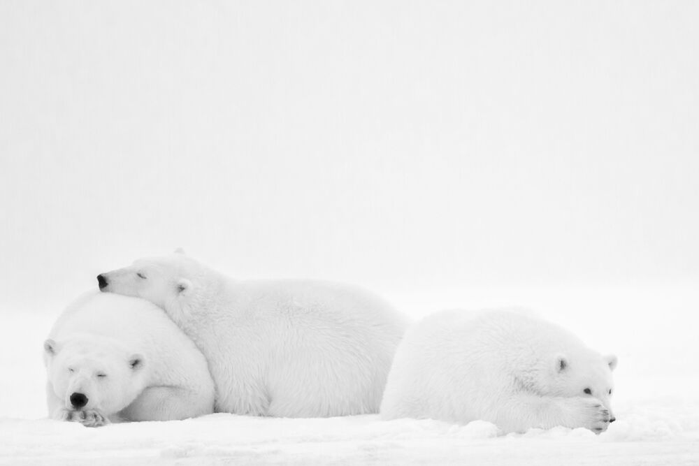 SLEEPING FAMILY