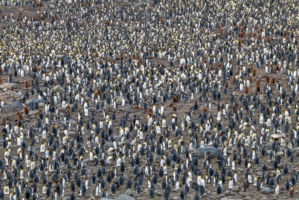 Reunion de famille