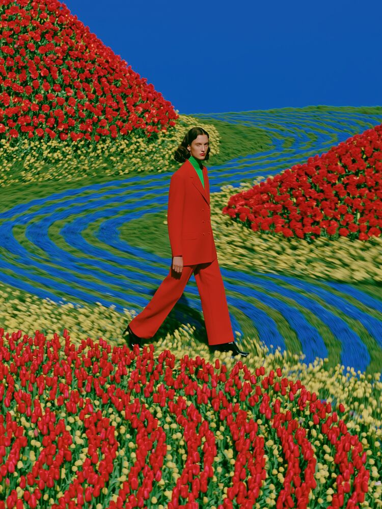Le chemin des coquelicots