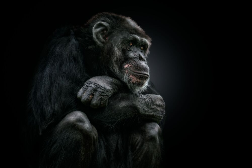 LONELY SOUL