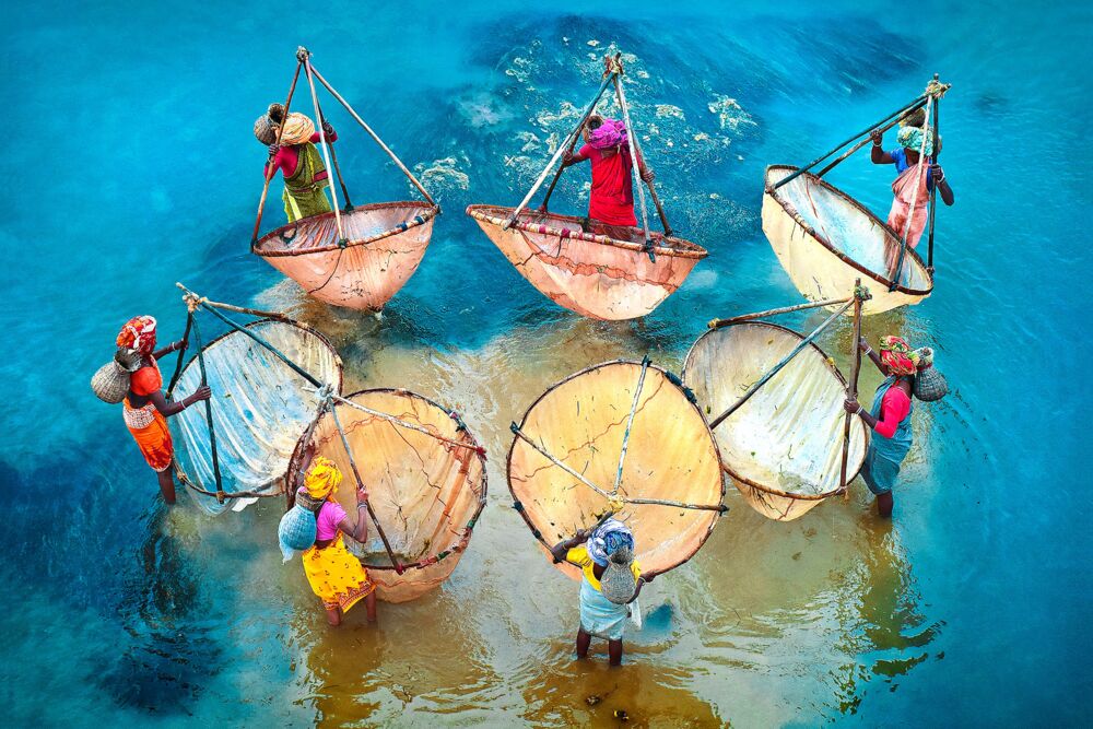 Colors of life