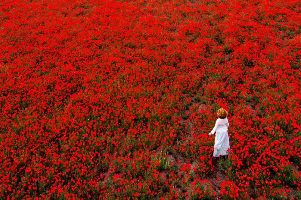 Red walk