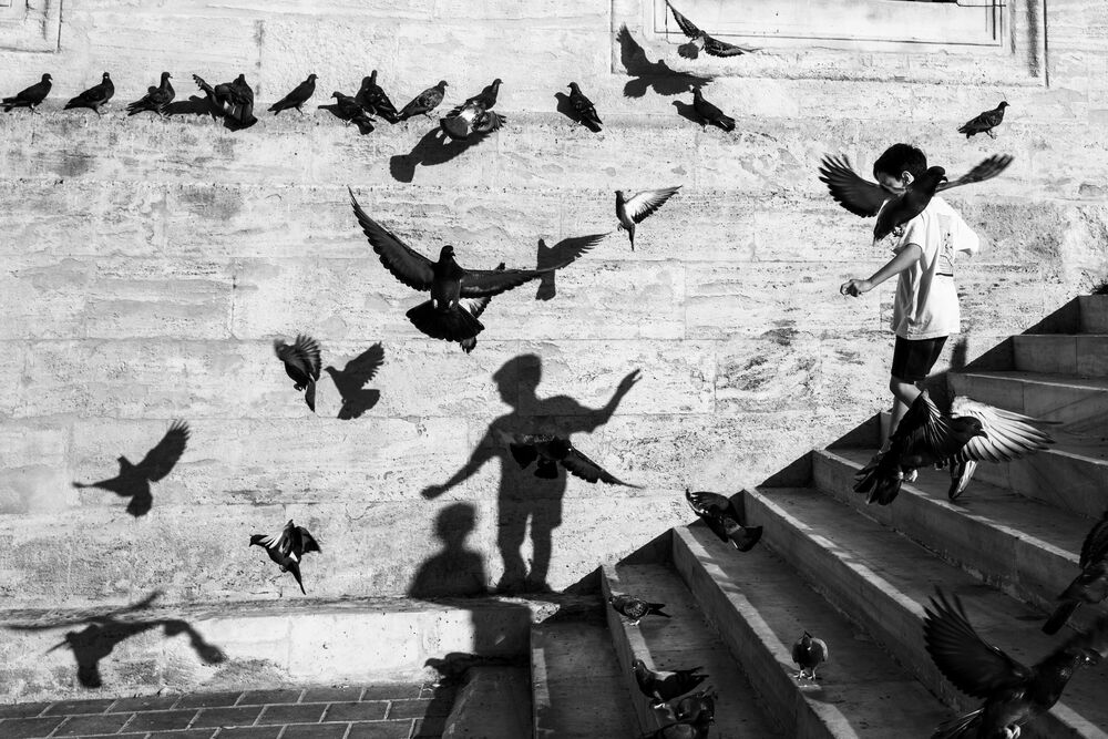 I want to fly