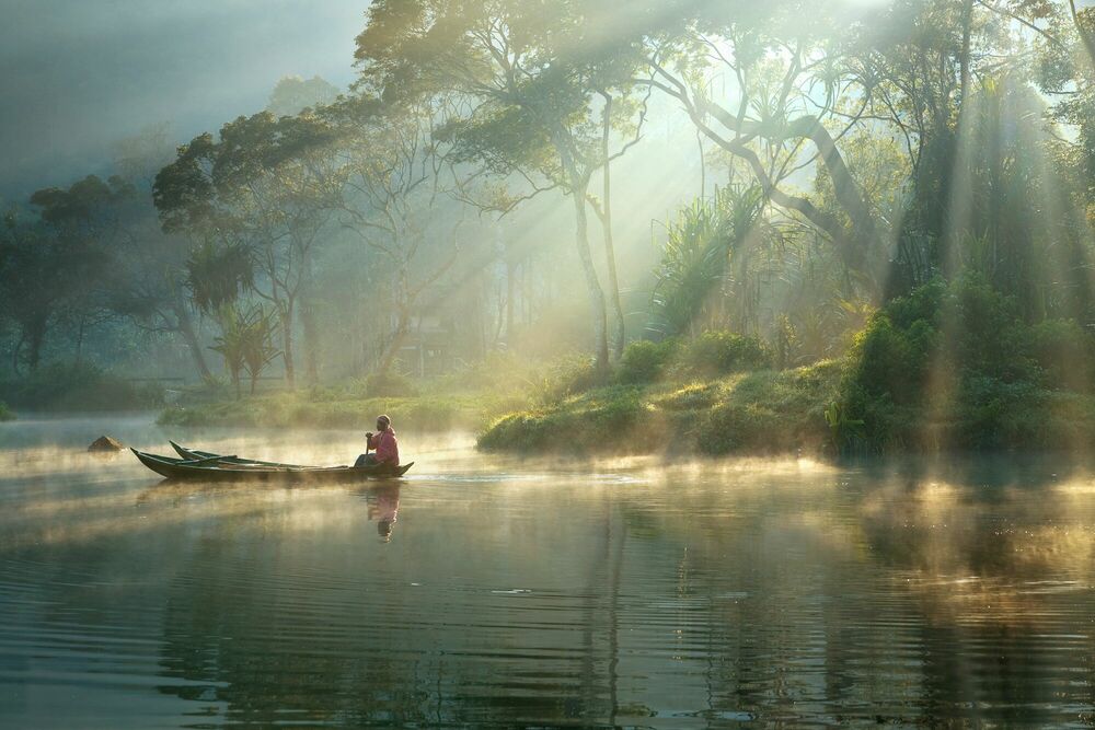 LIGHT AND MIST