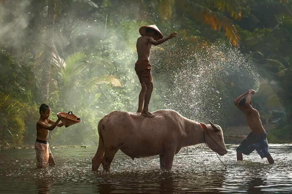TAKING SHOWER WITH BUFFALO