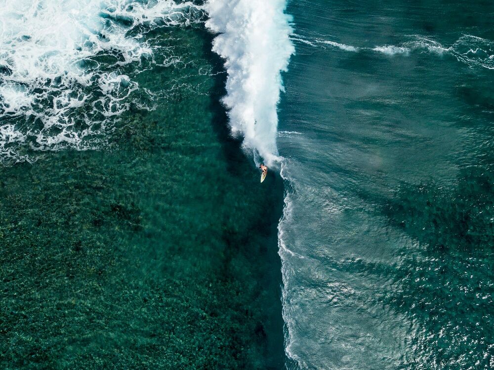 Pacifico