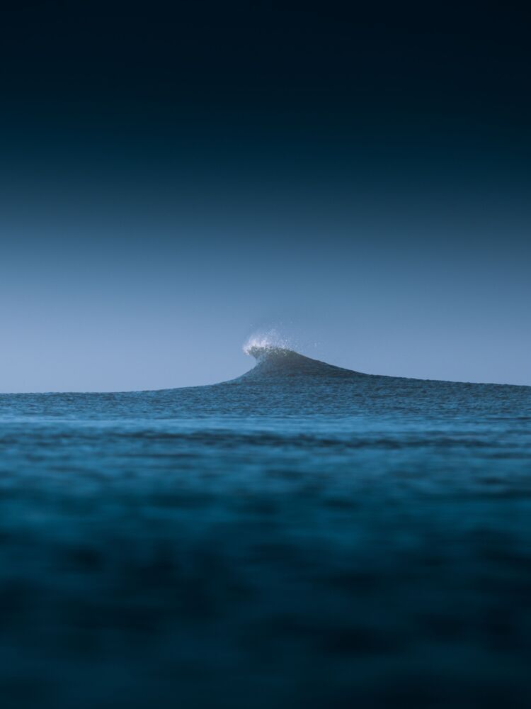 Blue horse