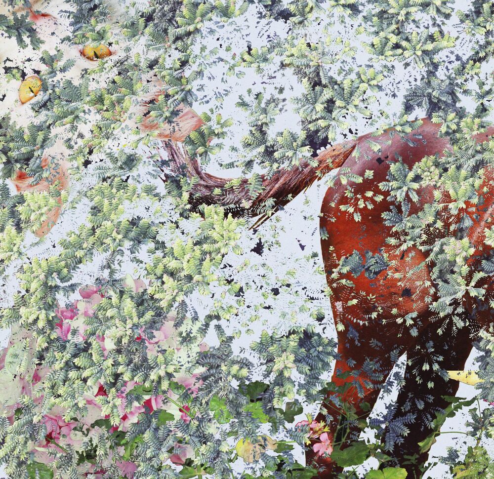 Comes Summer Wind
