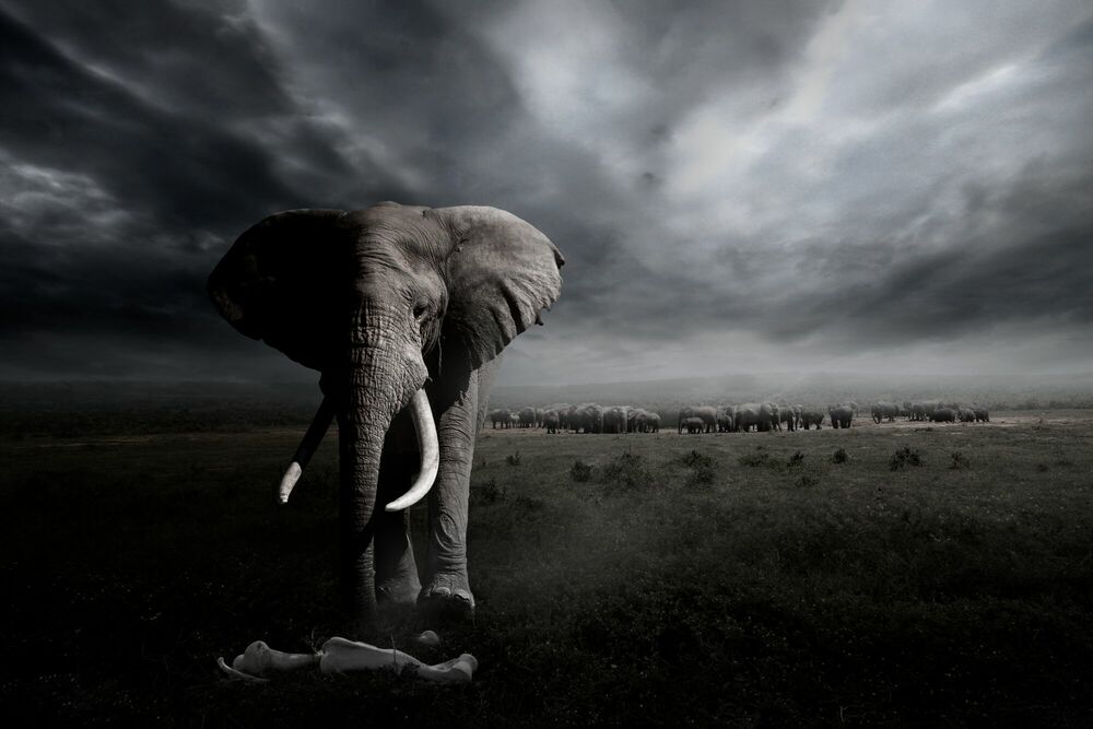 REVERENCE