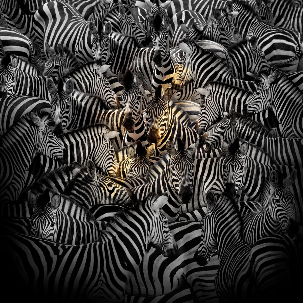 Swarm