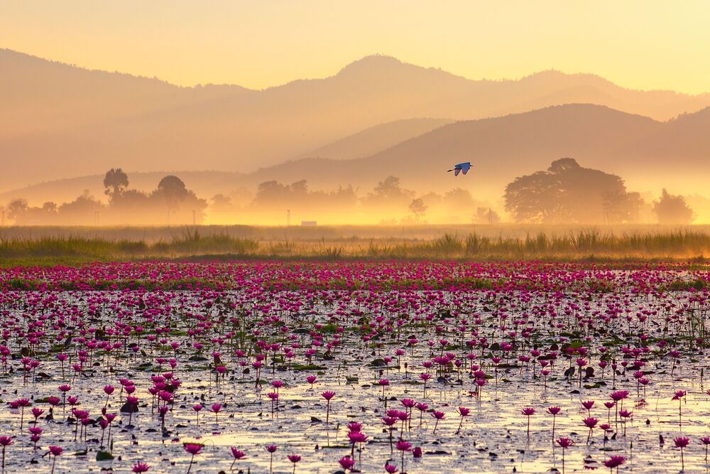 Early morning on Inle lake
