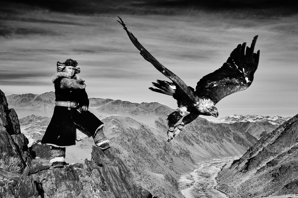 Flight of the eagle 2