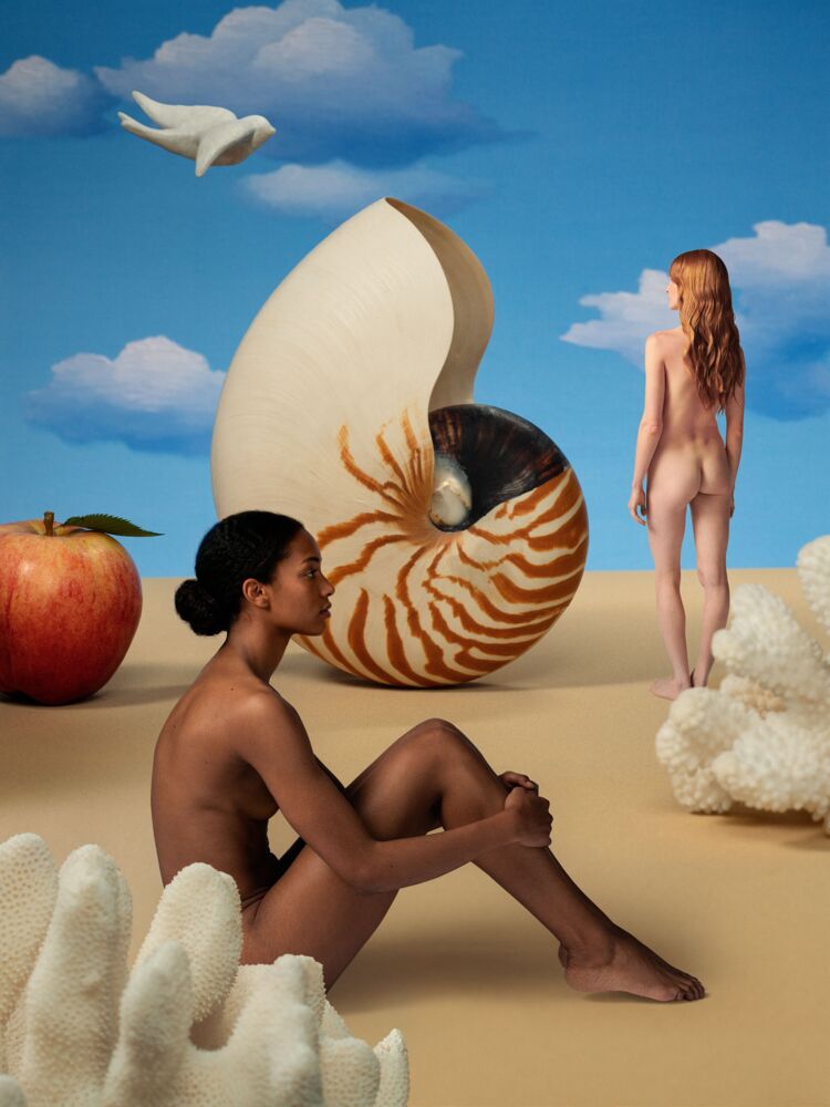 Le nautilus