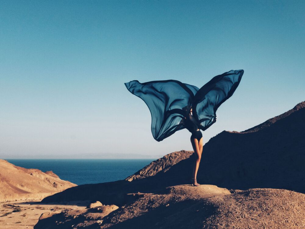 Blue papillon
