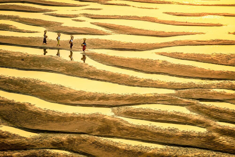 Patterns of Irrawaddy