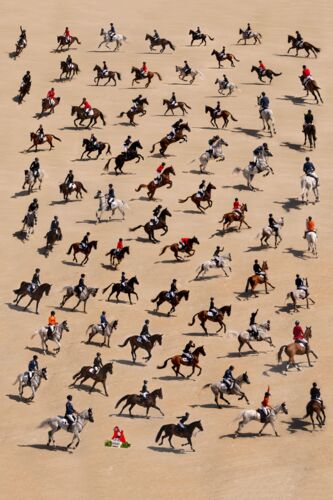 Horses